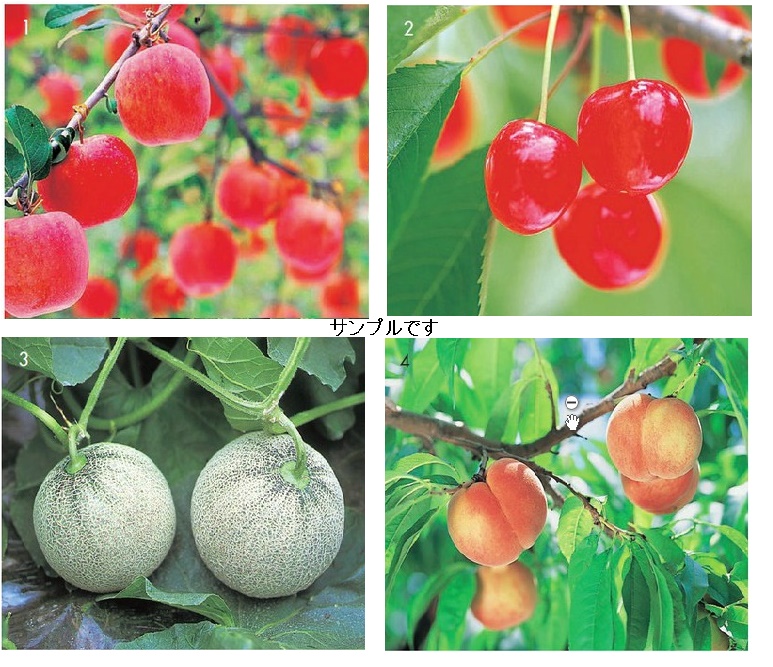 【ポイント交換商品】カタログギフト　3300ポイント