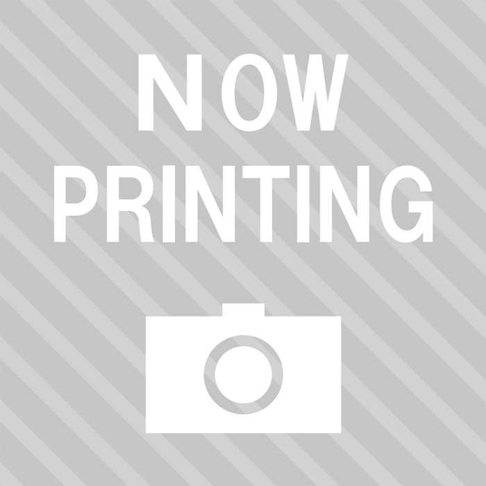 【ポイント交換商品】リコー純正インク Mサイズ【マゼンタ】GC42M  2800ポイント